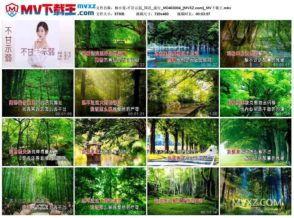 杨小曼-不甘示弱_国语_流行_MD403004